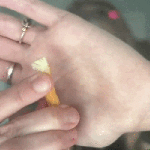 Periuța Miswak Naturale BLISSANY